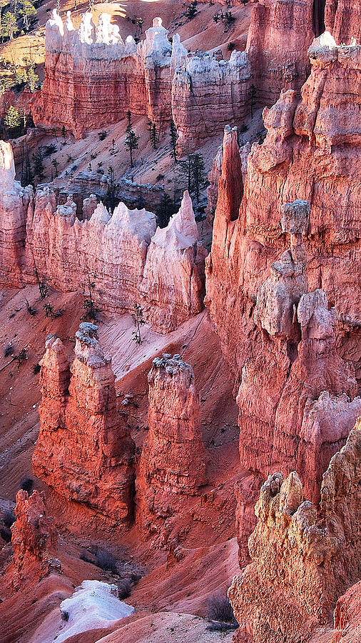 Bryce Canyon #12 Photograph by SM Shahrokni