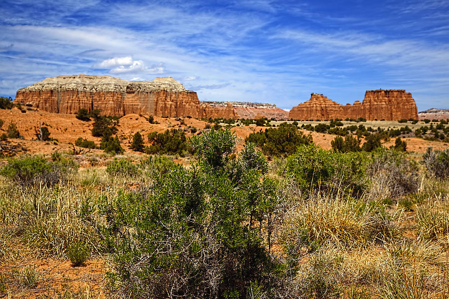 Capitol Reef National Park Catherdal Valley #12 Photograph by Mark Smith