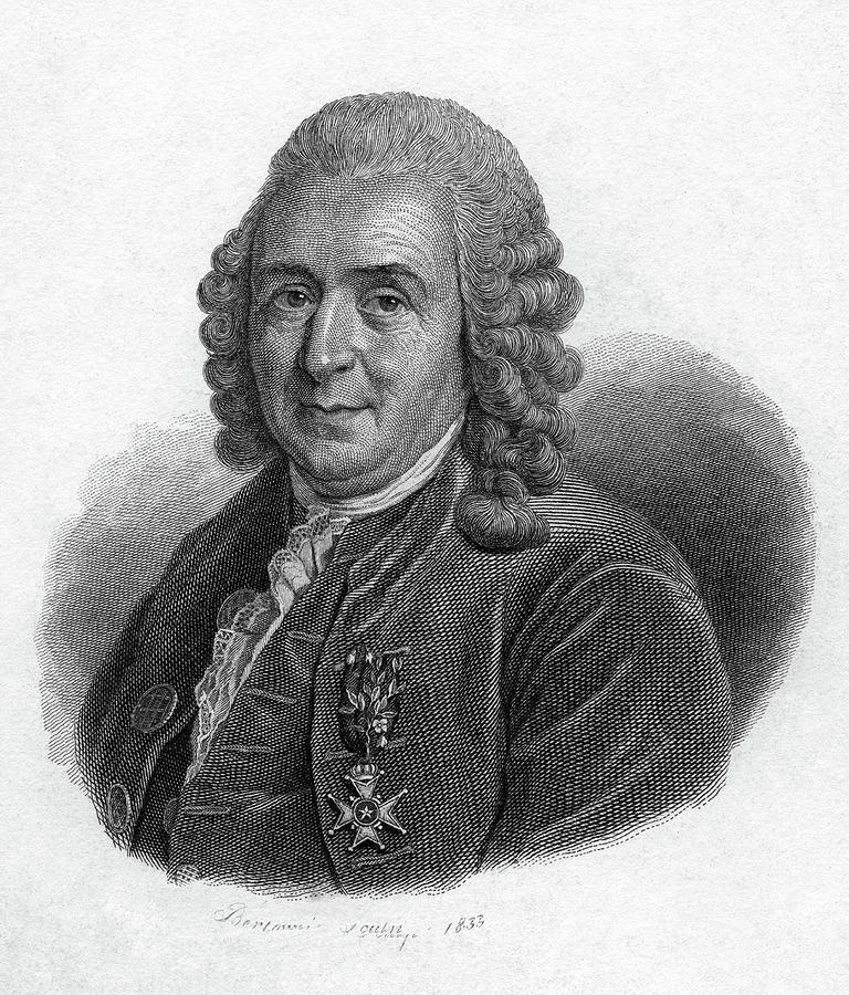 Carolus Linnaeus (1707-1778) #12 Painting by Granger