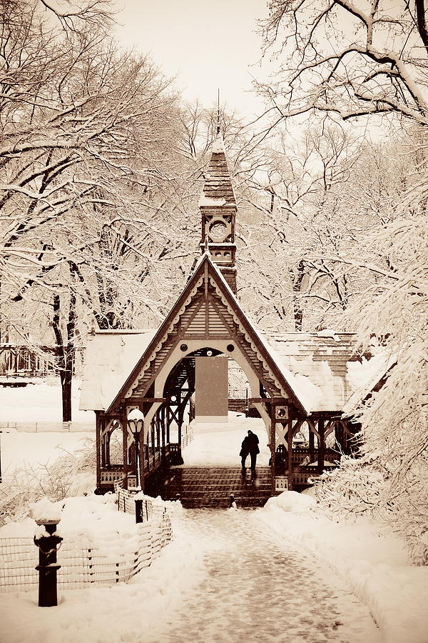 Central Park winter #12 Photograph by Songquan Deng