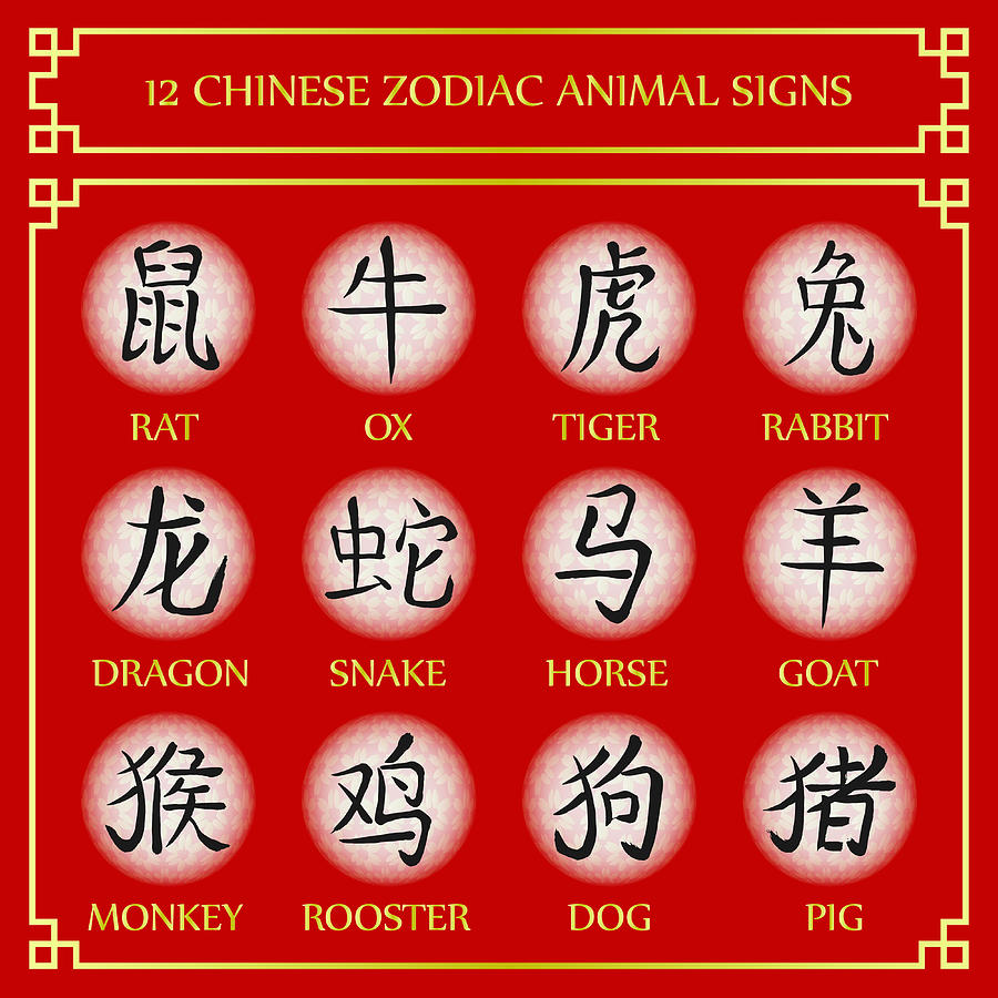 31 Zodiac Signs In Chinese Astrology - Astrology Today