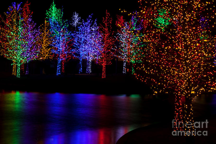 Christmas Reflections #12 Photograph by Anthony Totah