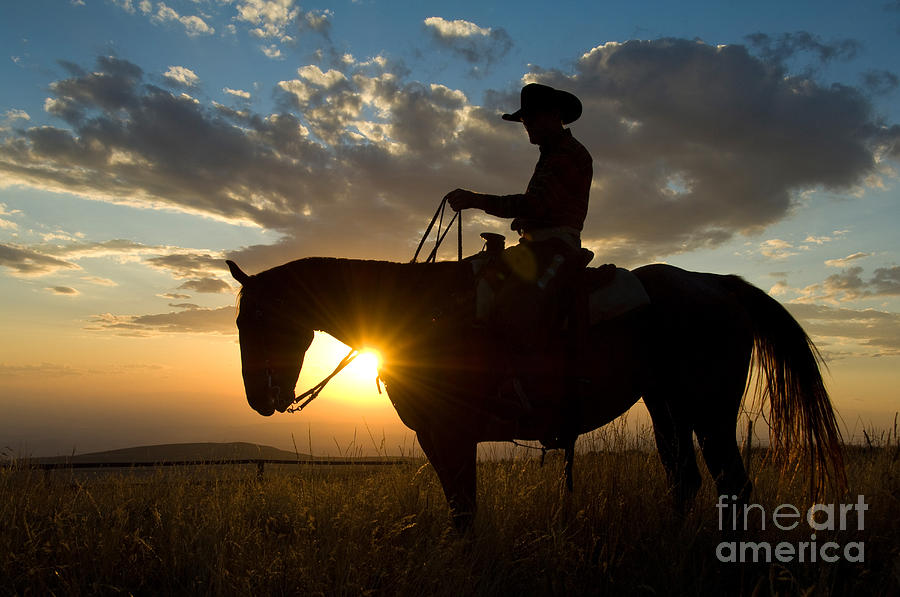 Cowboy #12 Photograph by John Shaw