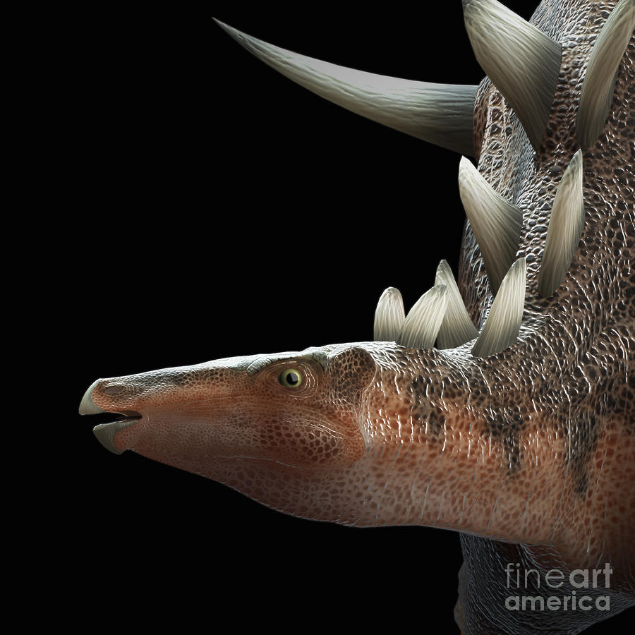 Dinosaur Kentrosaurus #12 Photograph by Science Picture Co