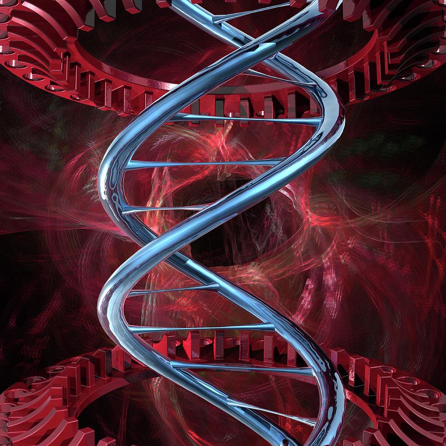 Dna Molecule Photograph By Laguna Design/science Photo Library - Fine ...