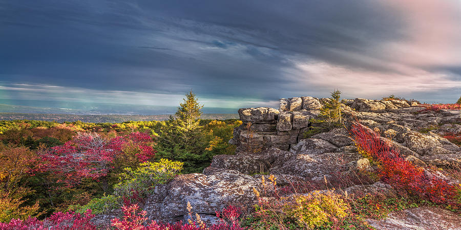 Dolly Sods Wilderness #14 Photograph by Mary Almond