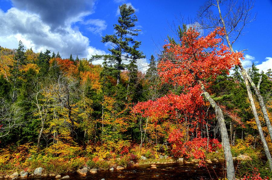 Fall Foliage in New Hampshire #12 Photograph by Paul James Bannerman