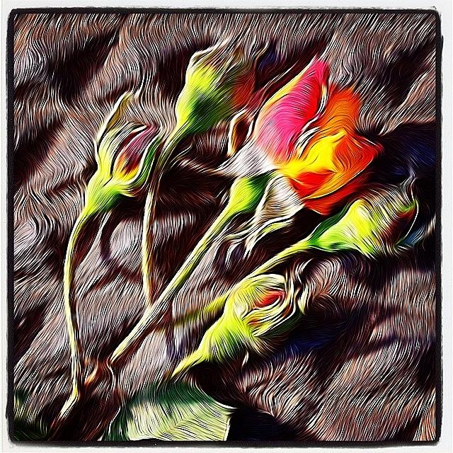 Flower Photograph - #flowers #flower #flowerstagram #12 by Mike Valentine