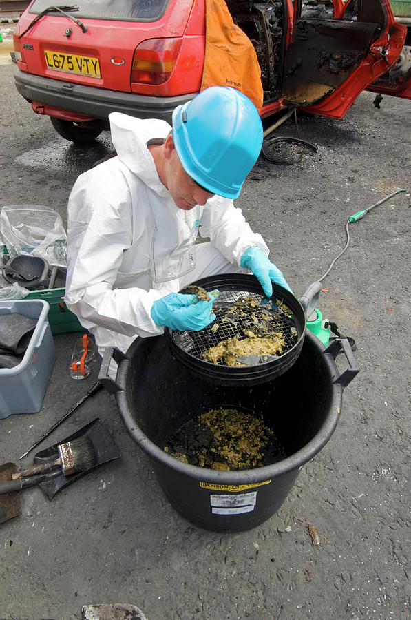 Forensics Training Photograph By Jim Varney/science Photo Library - Pixels