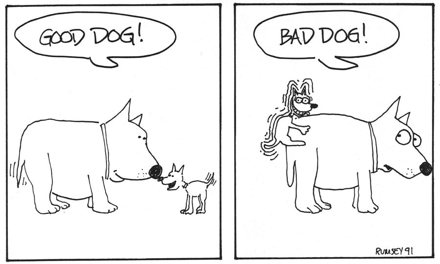 good dog bad dog book