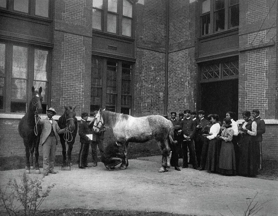 Hampton Institute, C1900 Photograph by Granger | Fine Art America