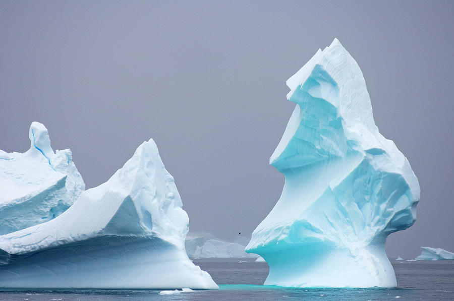 Iceberg Floating Off The Western Photograph by Steven J. Kazlowski ...