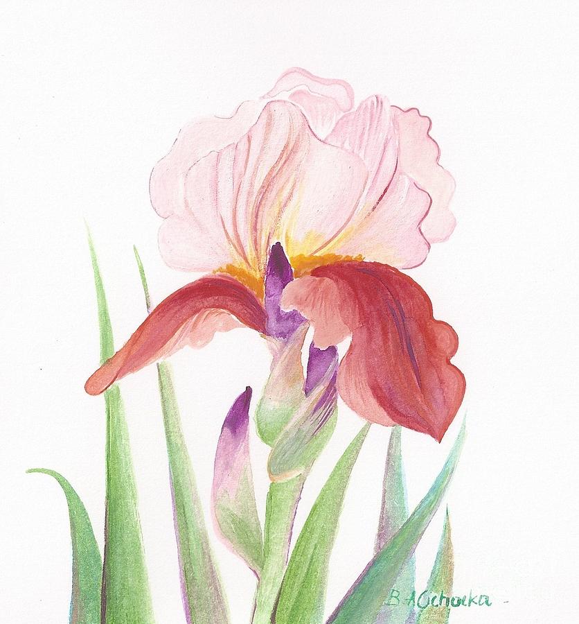 Iris Painting by Barbara Anna Cichocka