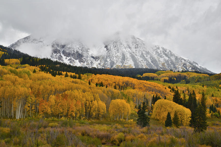 Kebler Pass Fall Colors #11 Photograph by Ray Mathis