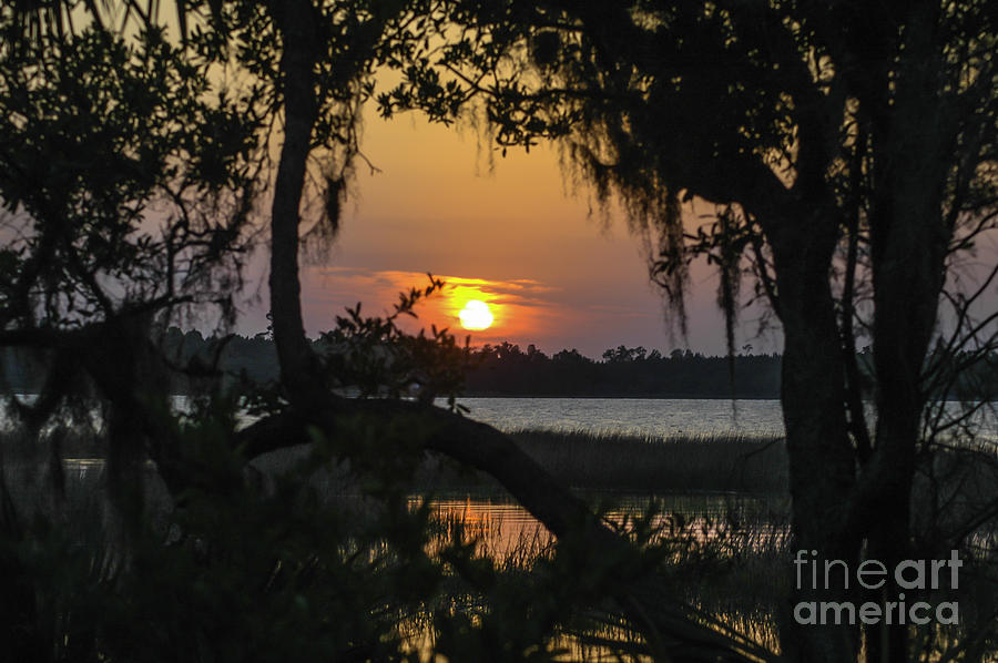Lowcountry Spanish Moss Sunset Photograph by Dale Powell