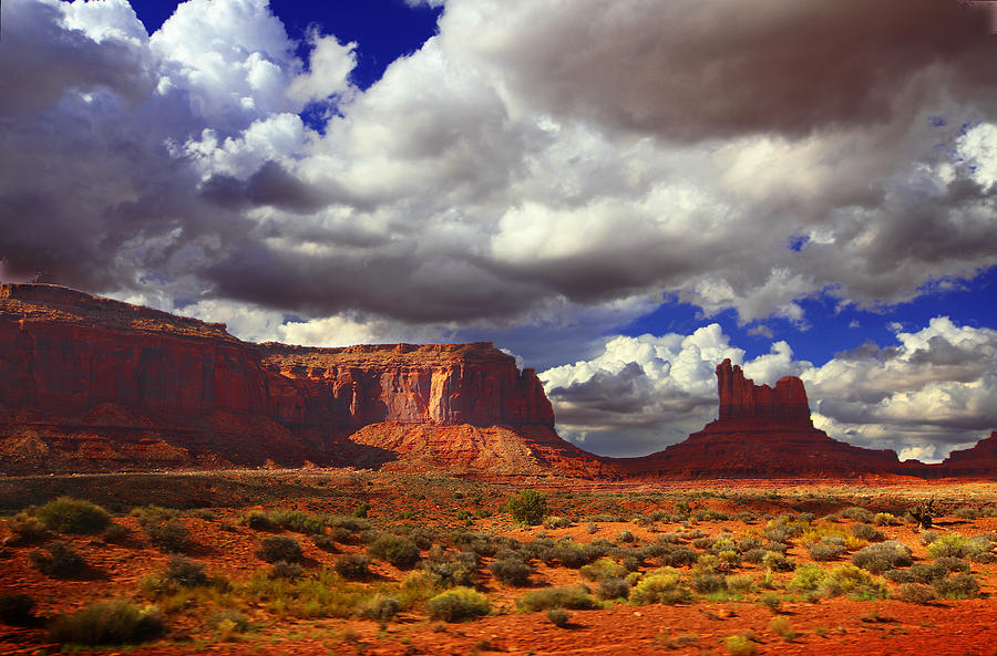 Monument Valley Utah USA #11 Photograph by Richard Wiggins