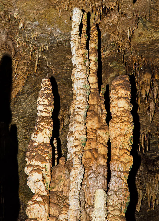 Natural Bridge Caverns, San Antonio, Tx #12 Photograph by Millard H. Sharp