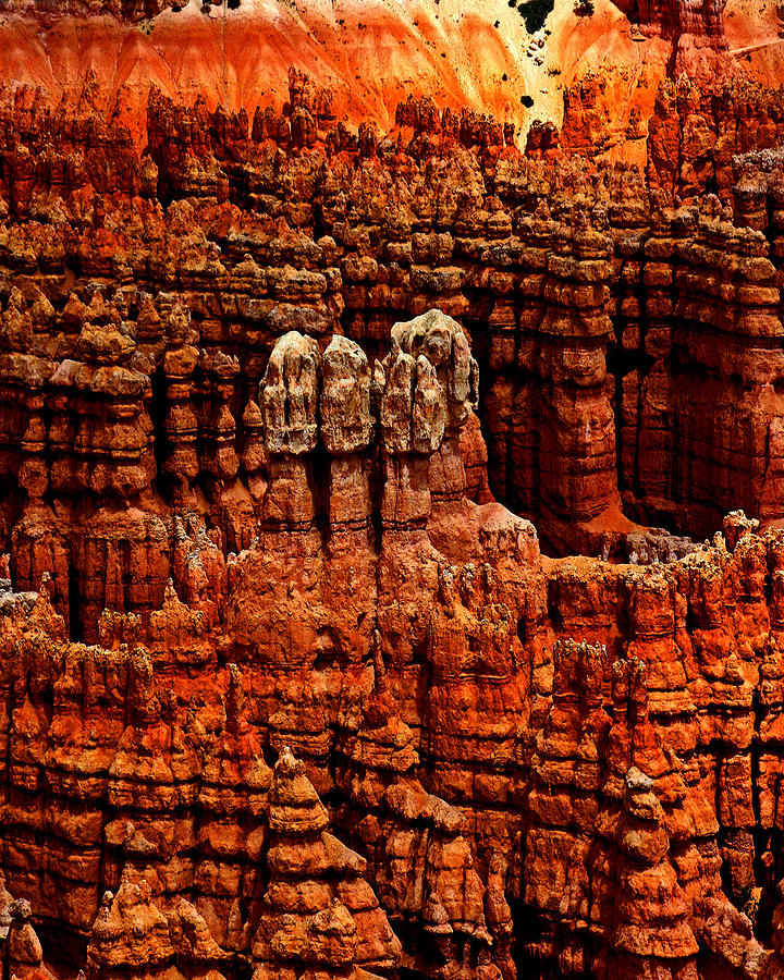 Bryce Canyon National Park Photograph - 12 oclock High by John Langdon