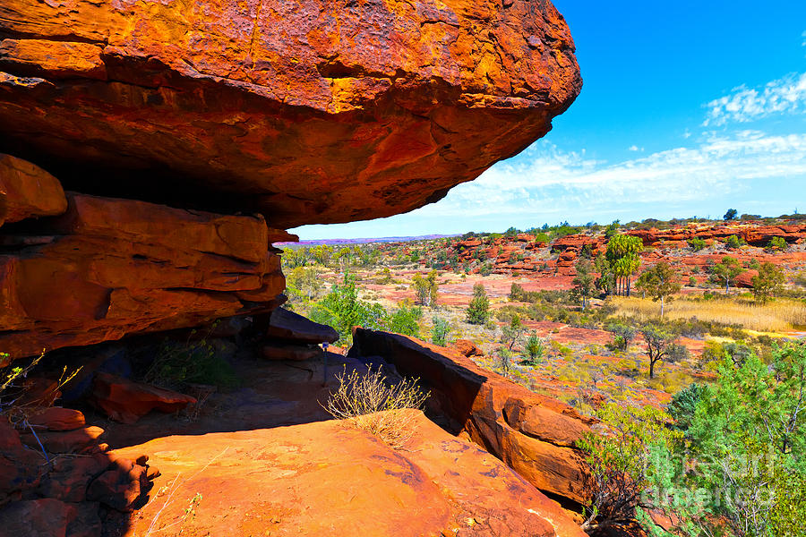 Palm Valley Central Australia  #12 Photograph by Bill  Robinson
