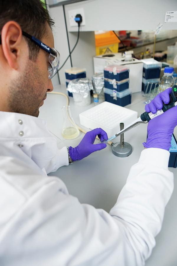 Pipetting Samples Photograph by Lewis Houghton/science Photo Library ...