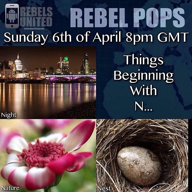 💥rebel Pops💥

meet New Igers #12 Photograph by Paul Burger