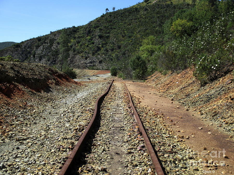 Rio Tinto Abandoned Railway #1 Photograph by Chani Demuijlder