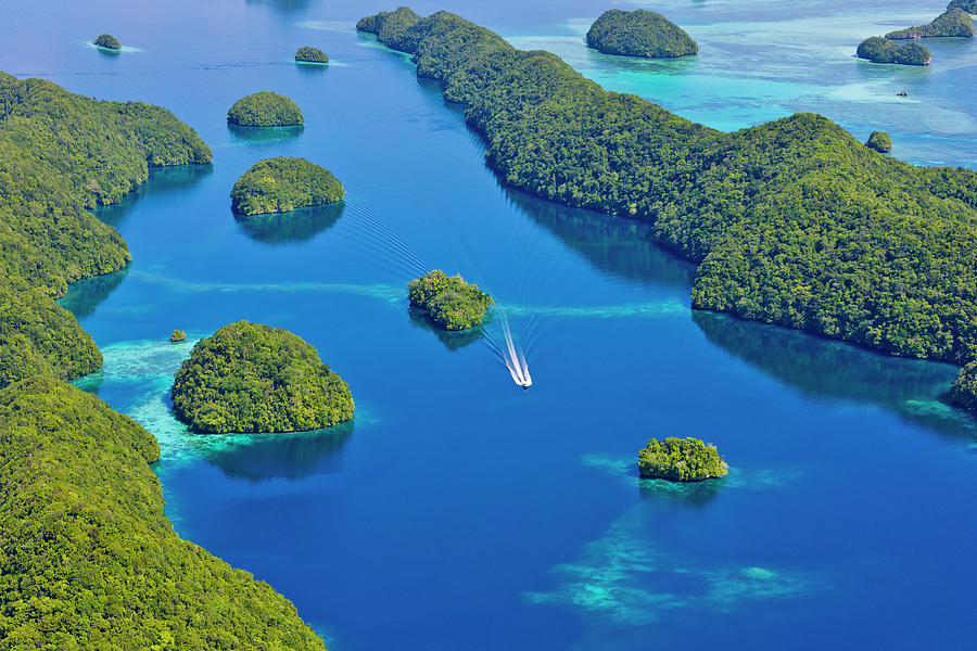 Rock Islands, Palau #12 Photograph by Keren Su - Pixels