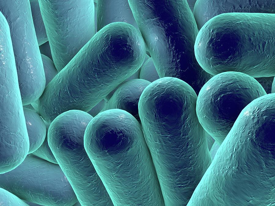 rod-shaped-bacteria-photograph-by-kateryna-kon