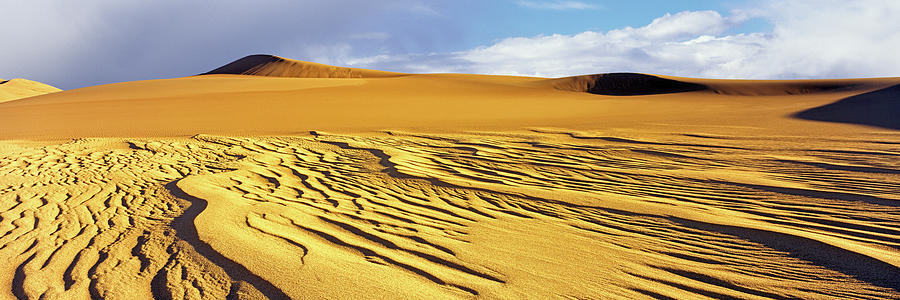 Great Sand Dunes National Park Photograph - Sand Dunes In A Desert, Great Sand #12 by Panoramic Images