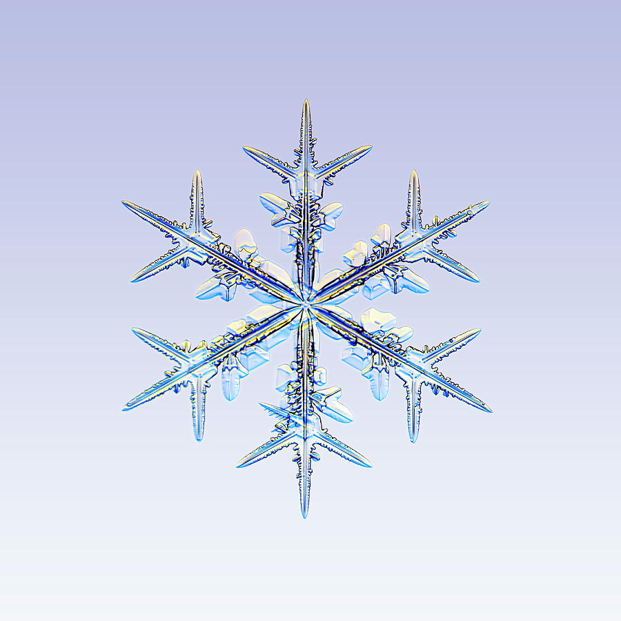 Snowflake #12 Photograph by Kenneth Libbrecht/science Photo Library