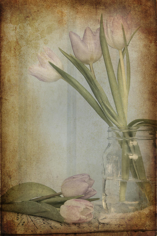 Spring Photograph - Still life image of Spring flowers with vintage texture filter e #12 by Matthew Gibson
