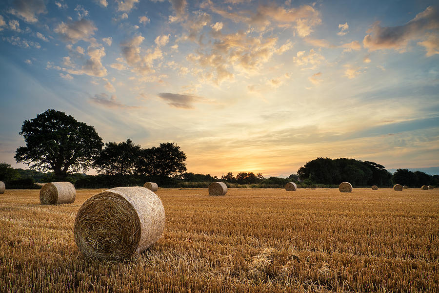 Sunset Photograph - Stunning Summer landscape of hay bales in field at sunset #12 by Matthew Gibson