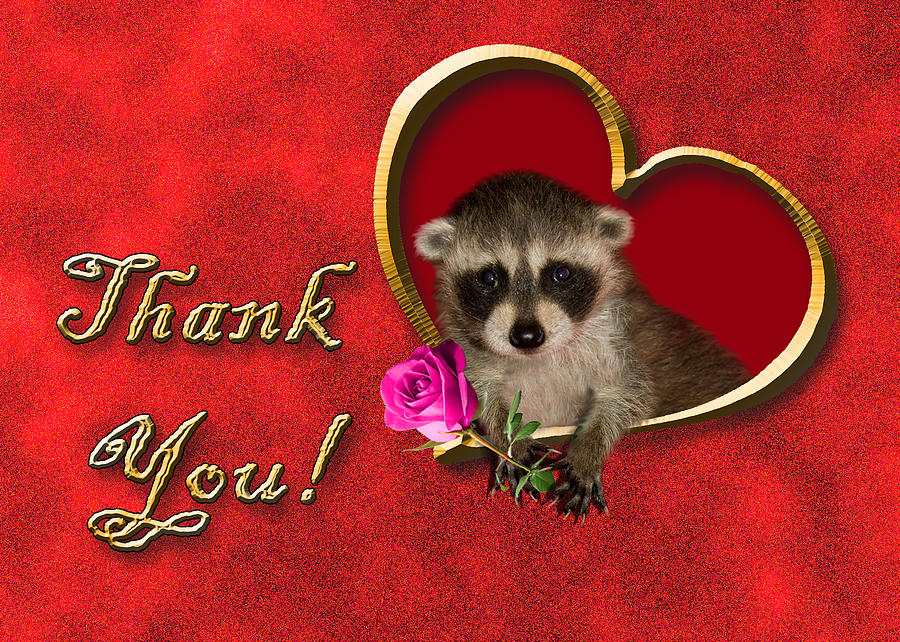 Cute Raccoon Says Thank Vector Royalty Free Svg, Cliparts,, 46% Off