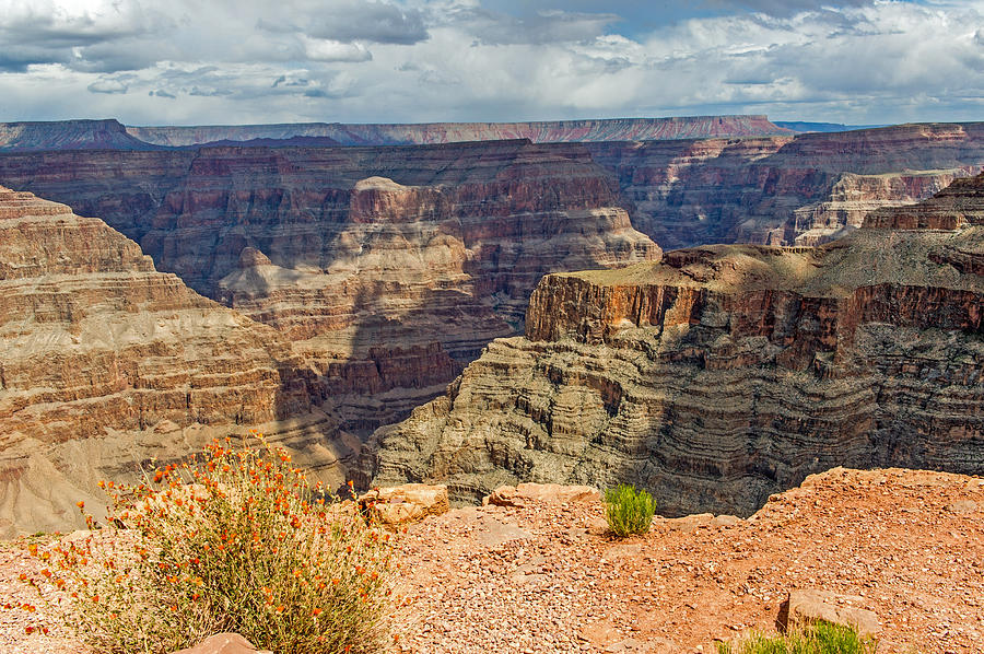 The Grand Canyon #12 Photograph by Willie Harper