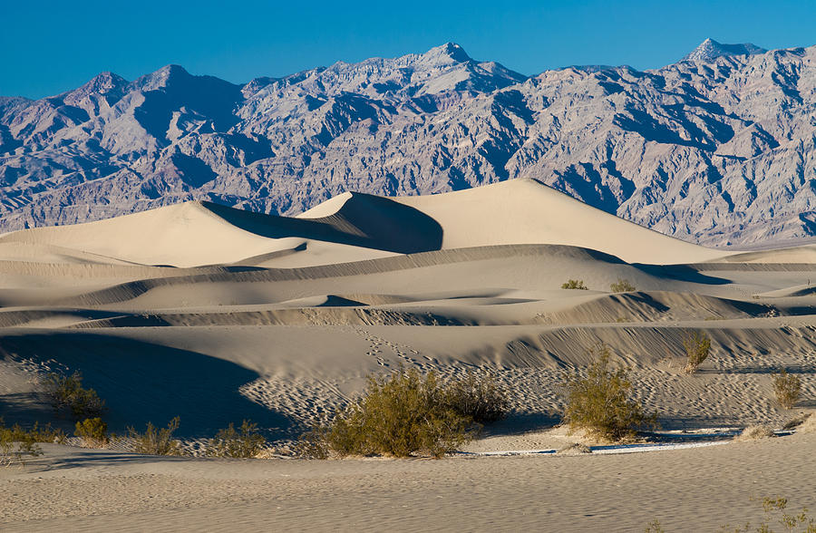 The Mesquite Sand Dunes Photograph by Roderick Bley - Fine Art America