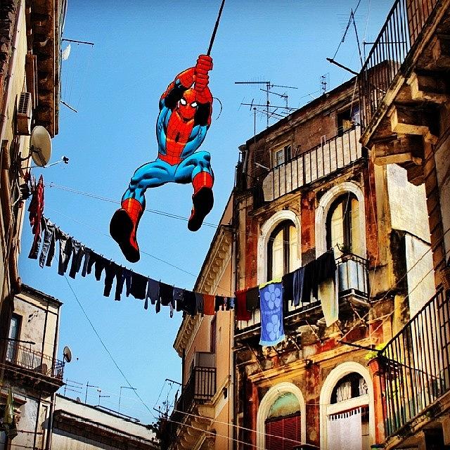 Spider-man Photograph - #theworld_thru_youreyes #nature_cuties #12 by Tony Leone