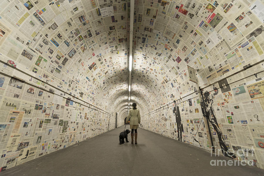 Dog Photograph - Tunnel #12 by Mats Silvan