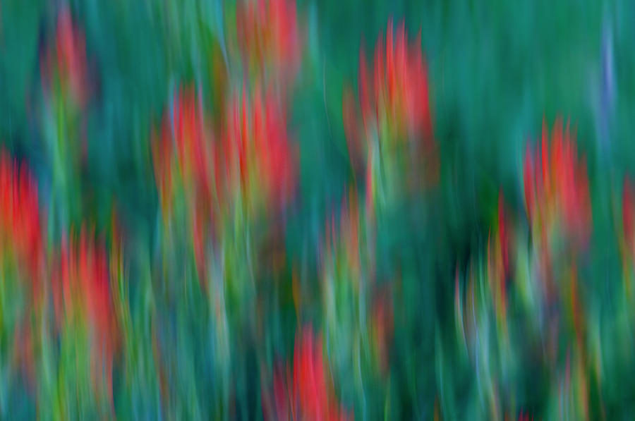 Abstract Photograph - Usa, Colorado, Crested Butte 12 by Jaynes Gallery Abstract Photograph - Usa, Colorado, Crested Butte 12 by Jaynes Gallery