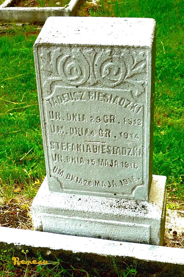 12 - Wilkeson Catholic Cemetery Photograph by A L Sadie Reneau