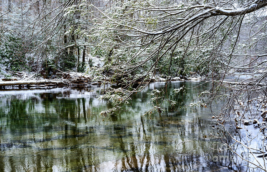 Winter Photograph - Winter along Williams River #12 by Thomas R Fletcher