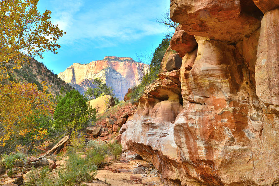 Zion National Park #8 Photograph by Ray Mathis