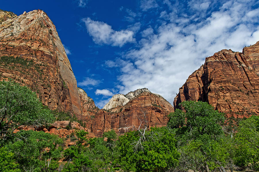 Zion National Park #12 Photograph by Willie Harper