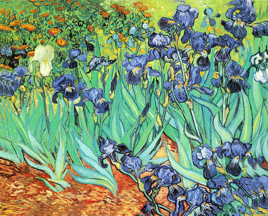 Vincent Van Gogh Painting - Irises #33 by Vincent Van Gogh