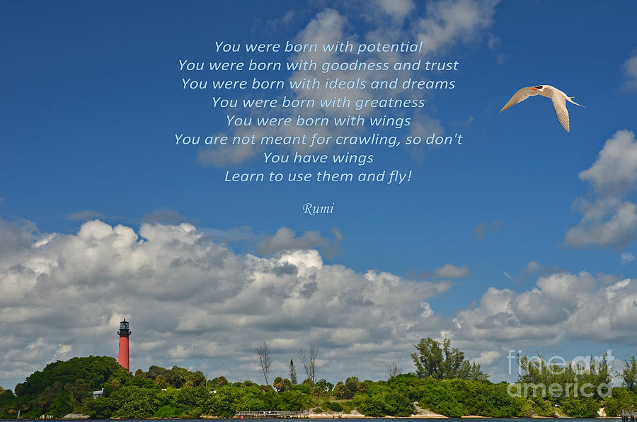 123- Rumi Photograph by Joseph Keane