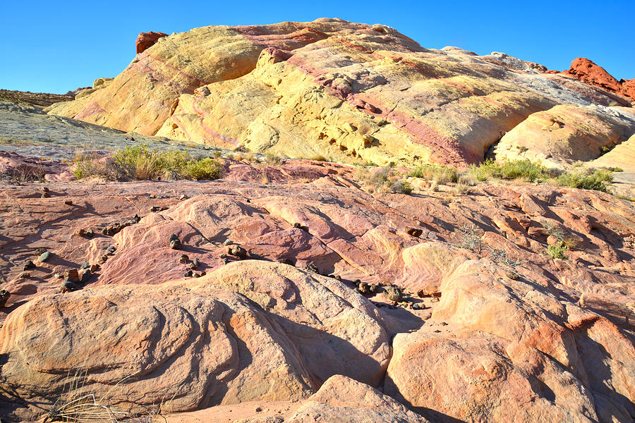 Valley of Fire #126 Photograph by Ray Mathis