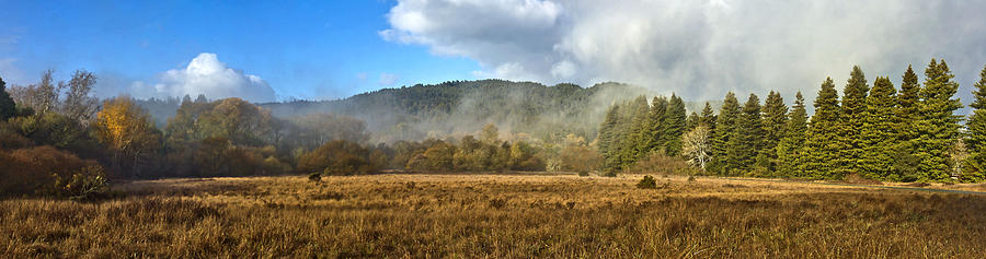 12.7 Meadow Panorama #127 Photograph by Larry Darnell