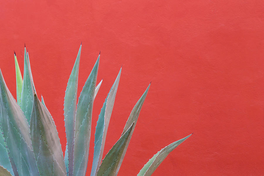 Mexico, San Miguel De Allende #129 Photograph by Jaynes Gallery Mexico, San Miguel De Allende #129 Photograph by Jaynes Gallery
