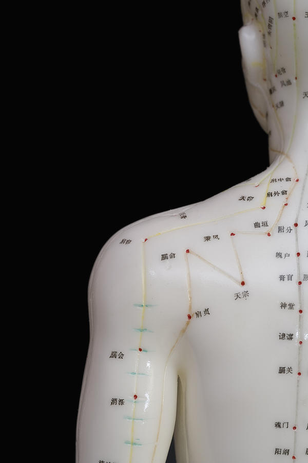 Acupuncture Points #13 Photograph by Science Stock Photography