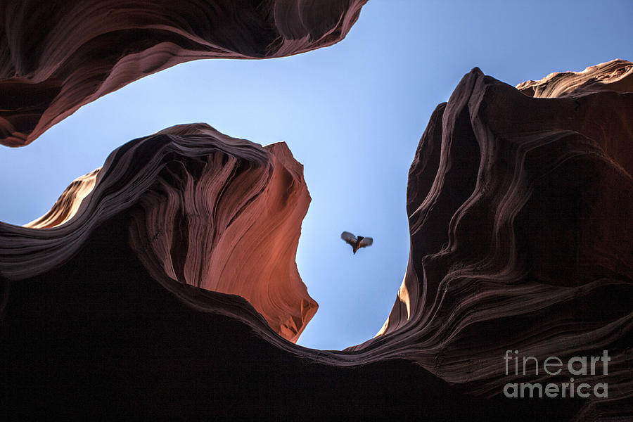 Antelope Canyon #13 Photograph by Daniel  Knighton