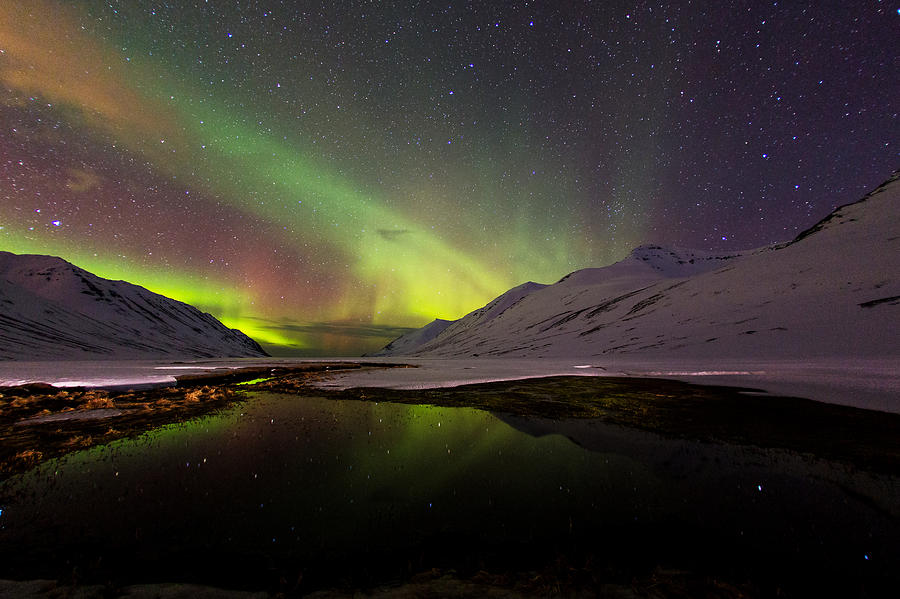 Aurora borealis #15 Photograph by Frodi Brinks